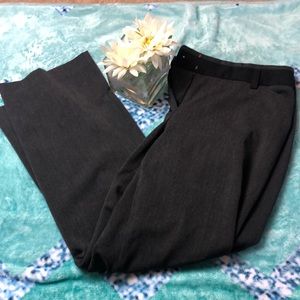 Express Bootcut Dress Pants—14 SHORT